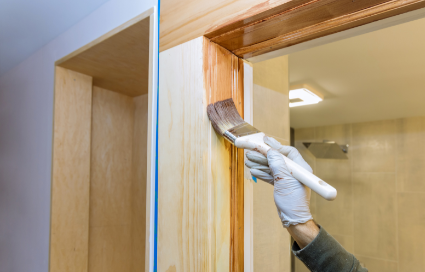 Professional Painting
